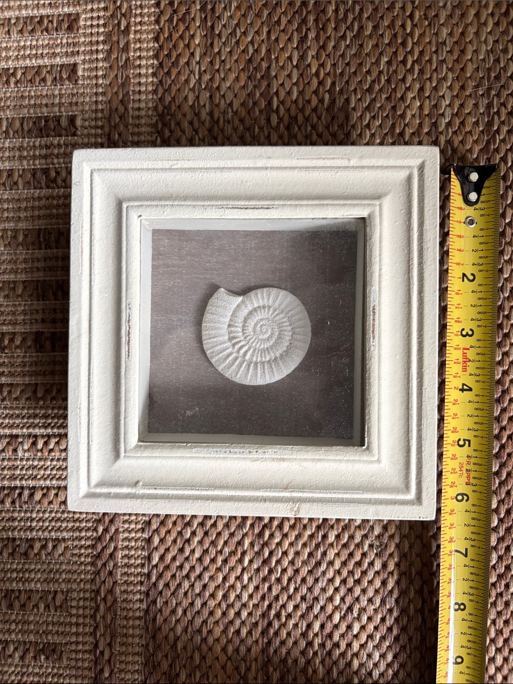 Distressed White Nautilus Shell Shadow Box Frame